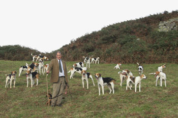 Coniston Foxhound photography by Betty Fold Gallery